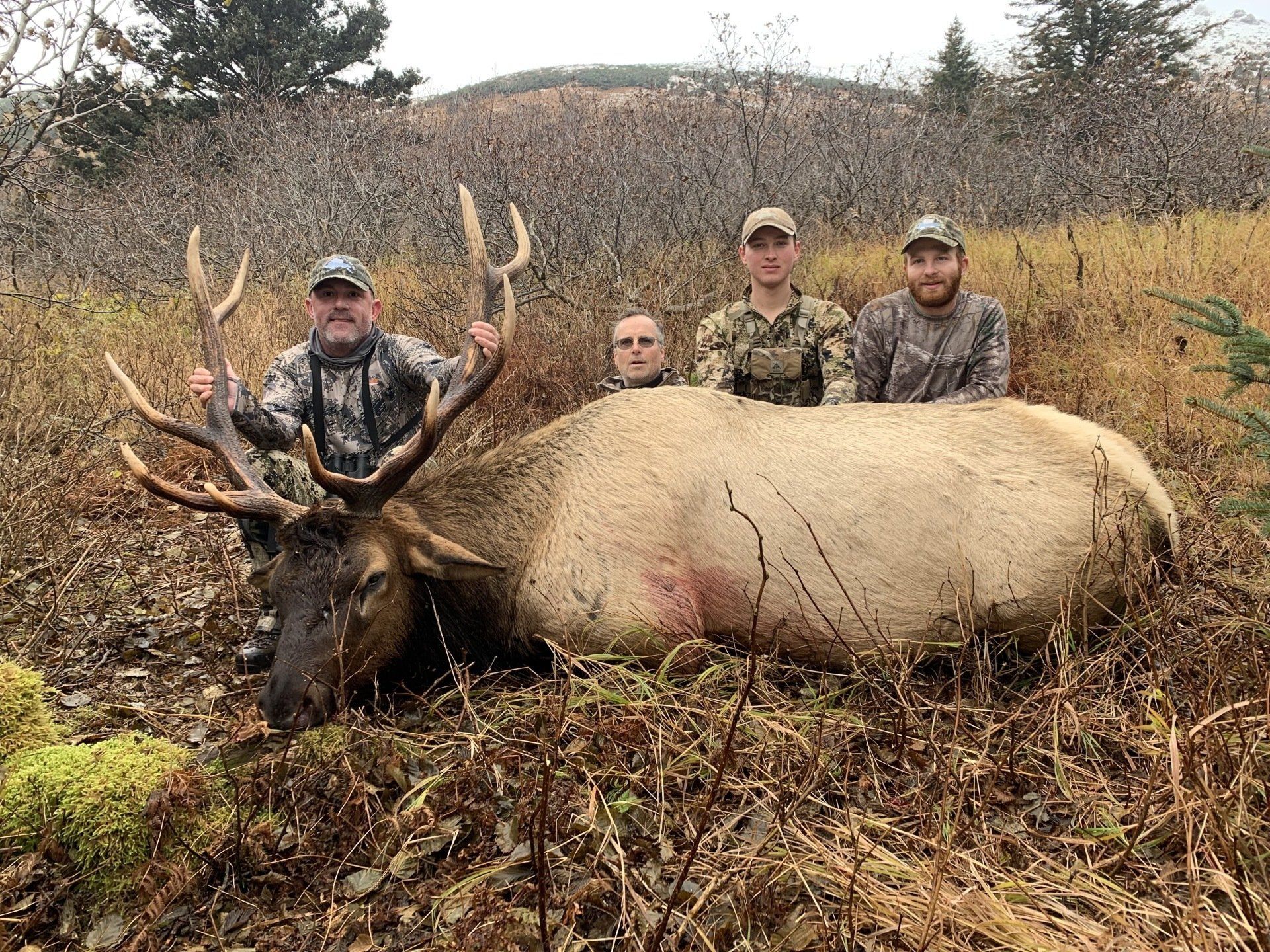 Roosevelt Elk Hunting Outfitter, Alska Roosevelt Elk Hunting Outfitter. Paul Brand