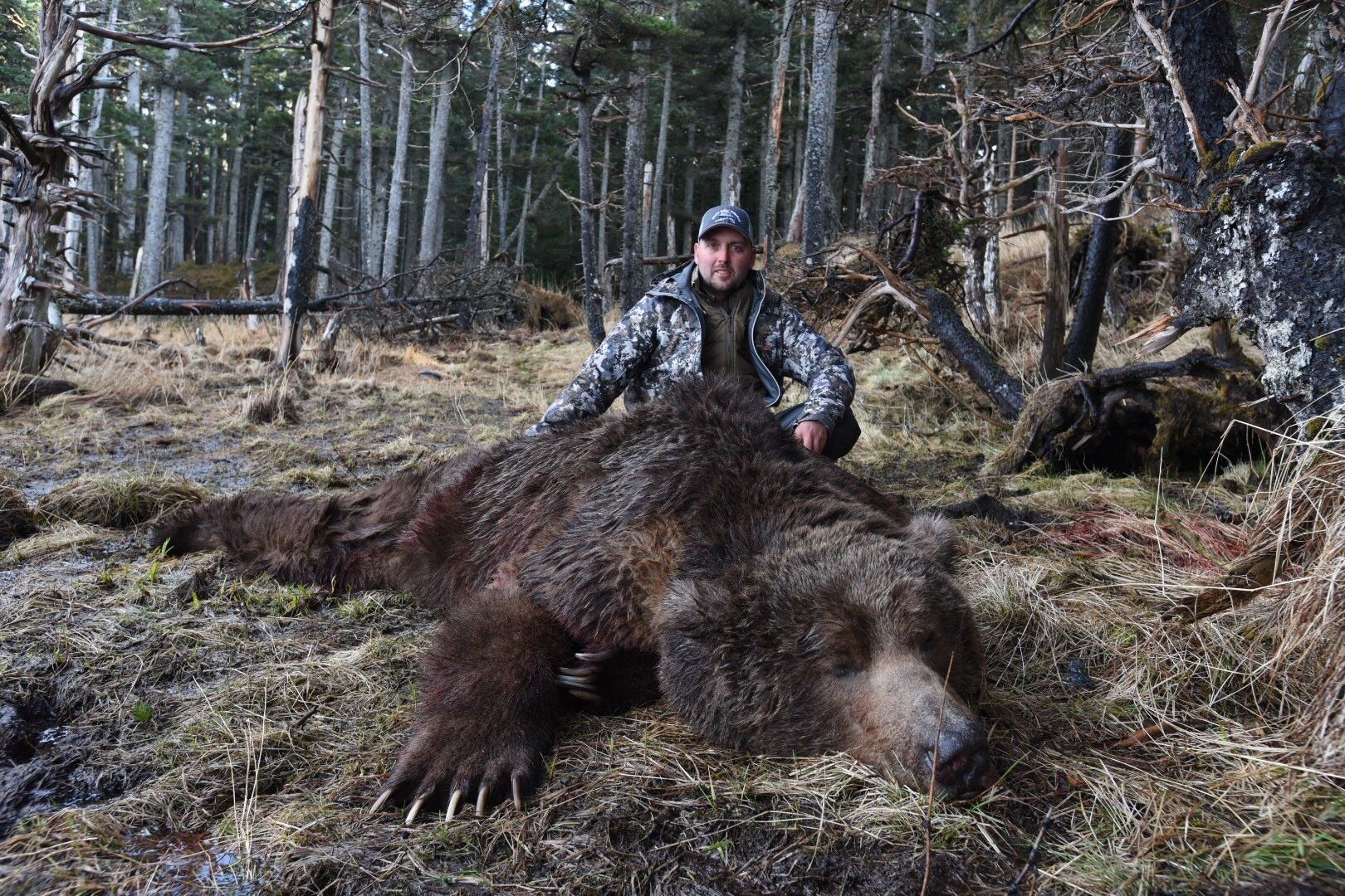Alaska Coastal BROWN bear hunting, Alaska BROWN Bear hunt