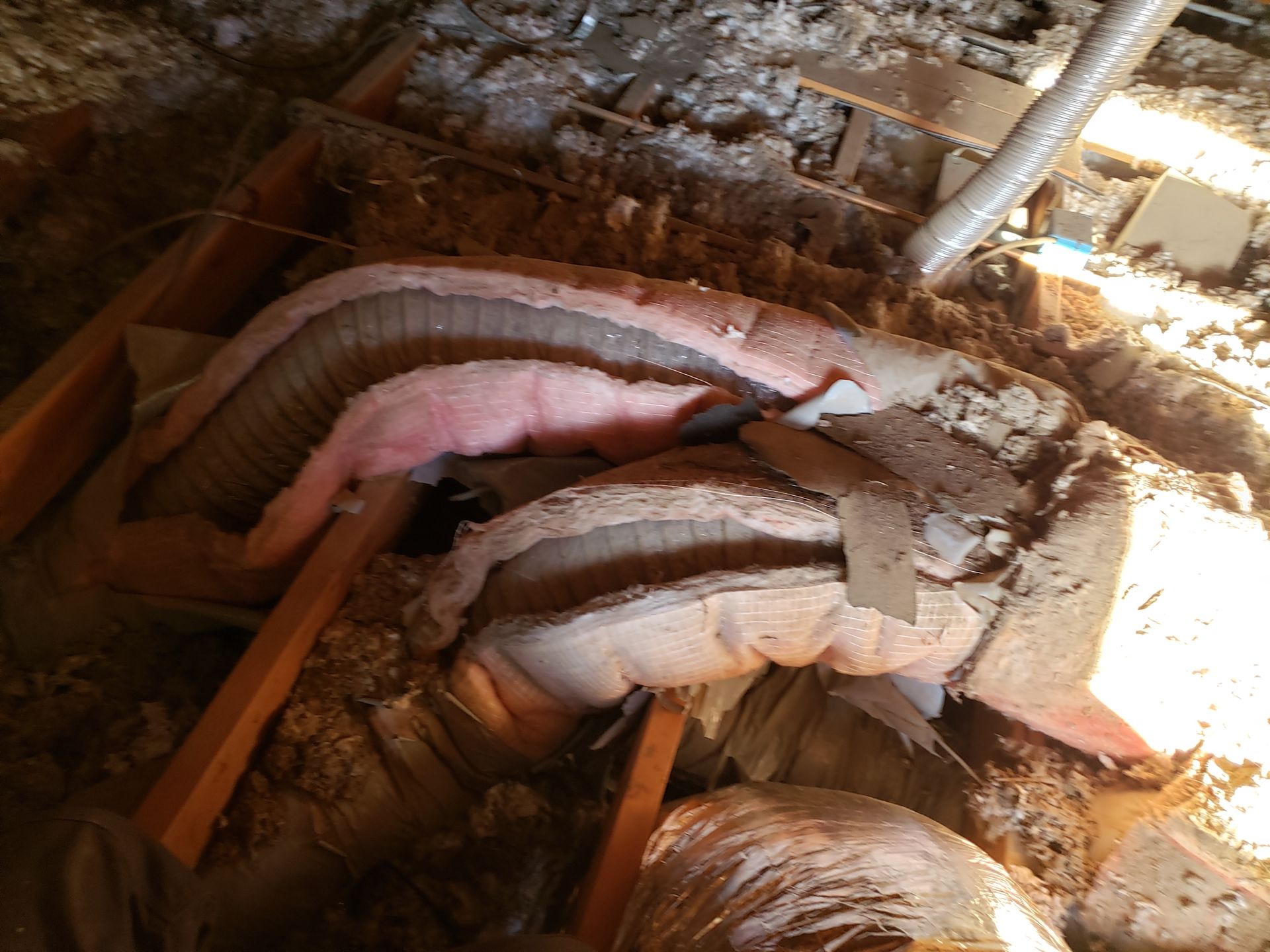 a bunch of pieces of insulation are laying on the ground