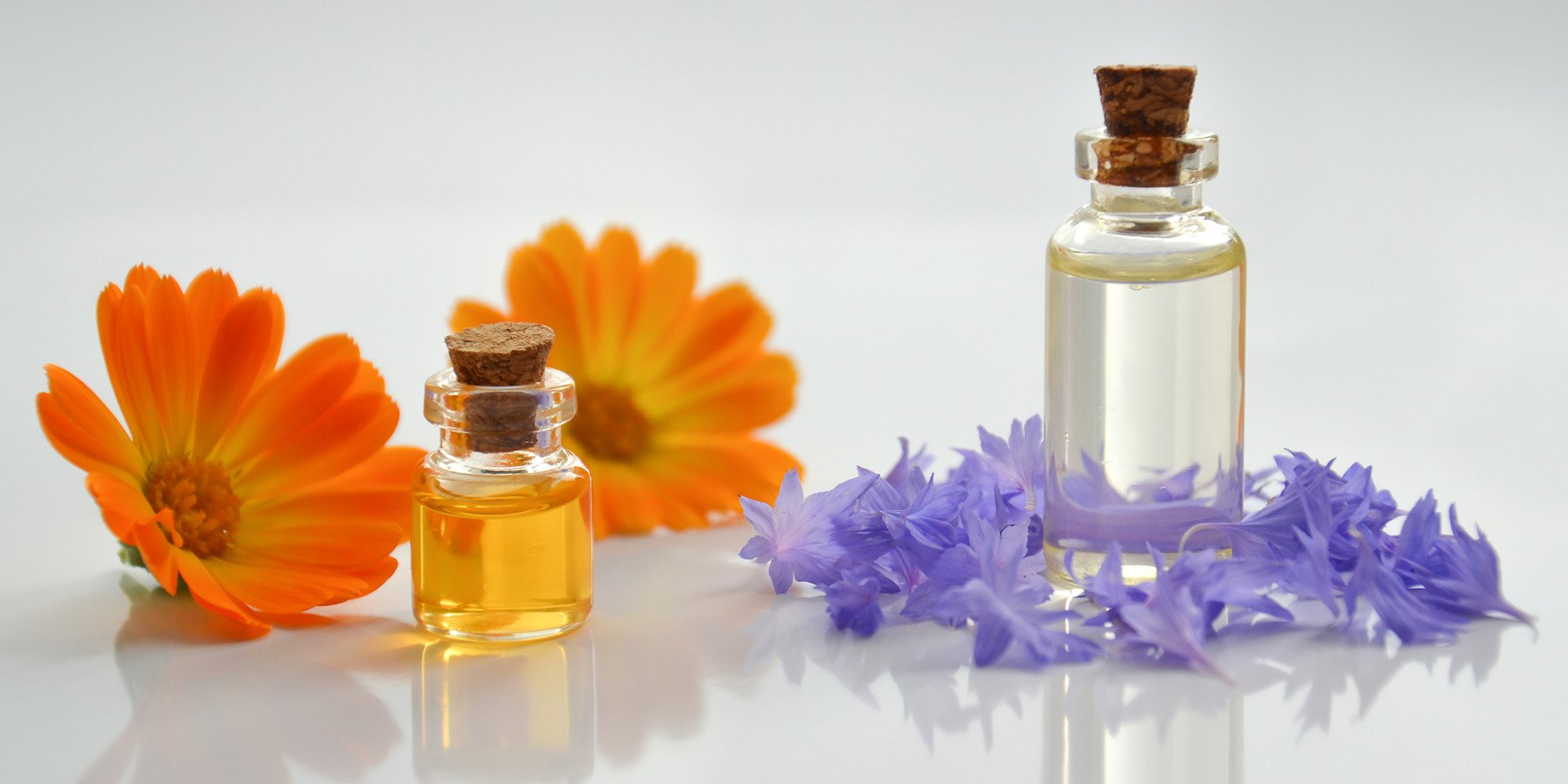Revive therapies Bach flower remedies