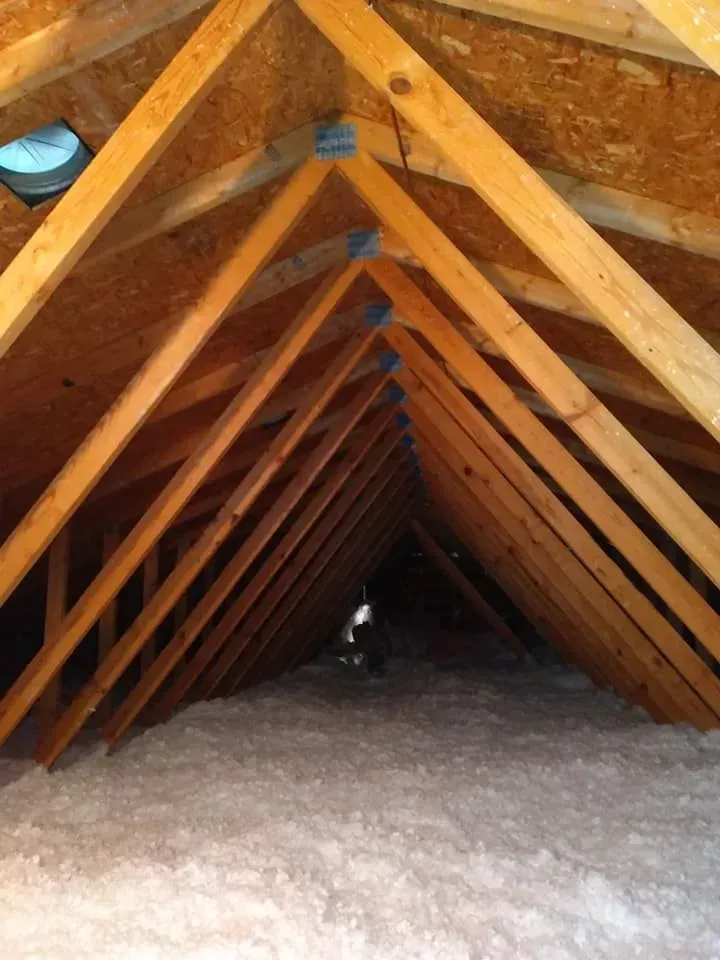 Attic interior with wooden rafters, insulation, and a small circular skylight.