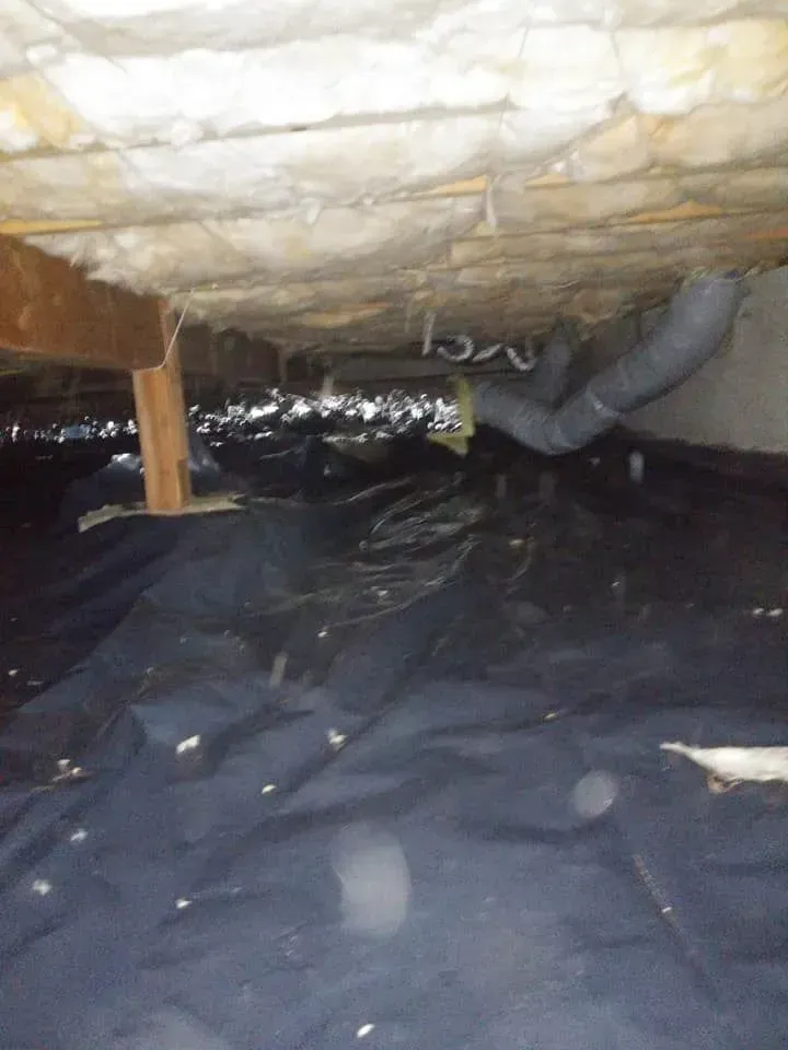 Crawl space with black vapor barrier on the ground. Insulation and ductwork visible overhead.