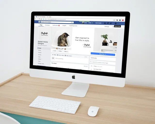Facebook page about cats, displayed on iMac computer