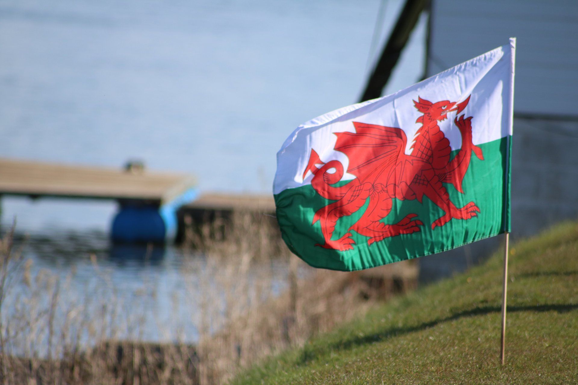 Mae baner cymru yn chwifio yn y gwynt ar bolyn.