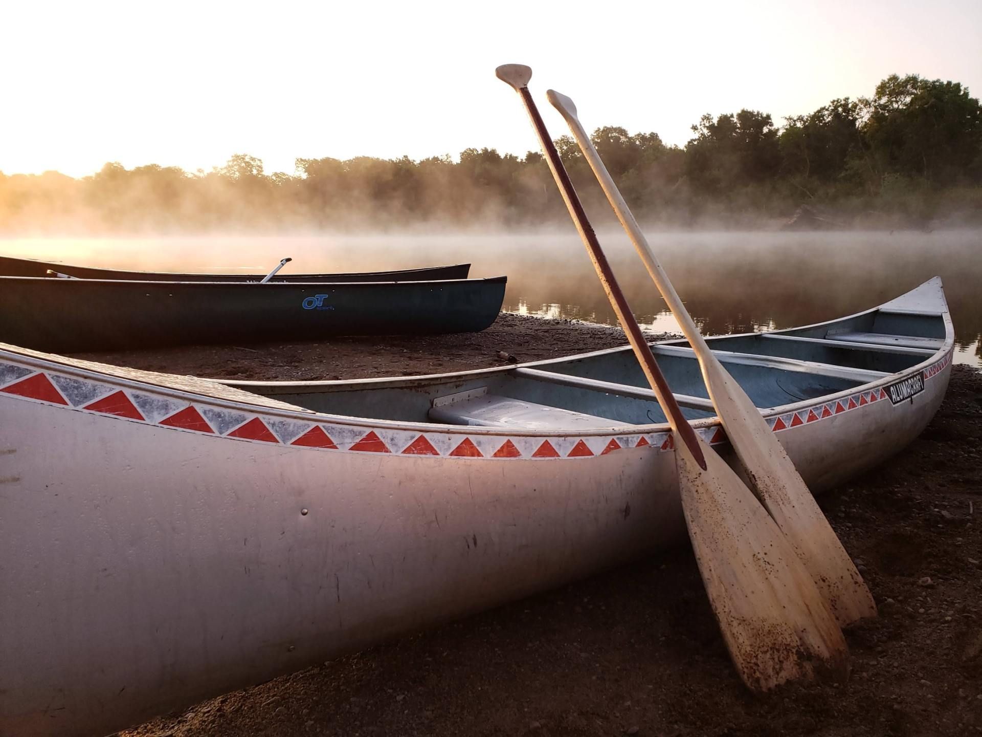 Two canoes with oars on the shore of a lake