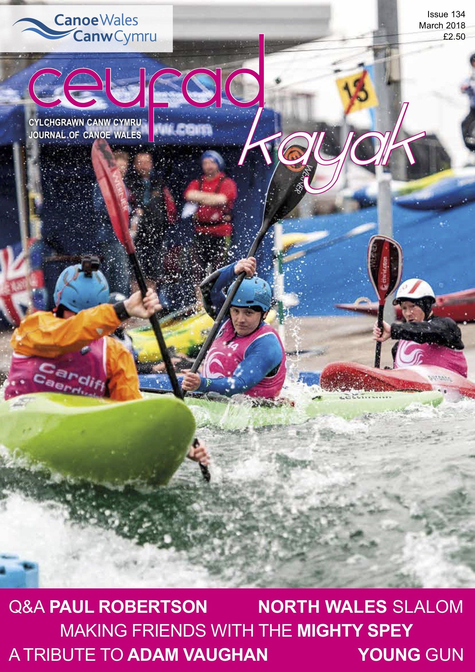 A group of people are paddling kayaks in the water.