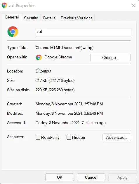 cat image webp converted properties