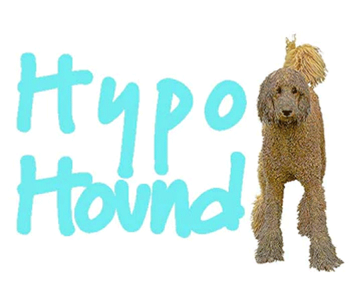 Hypo Hound Logo