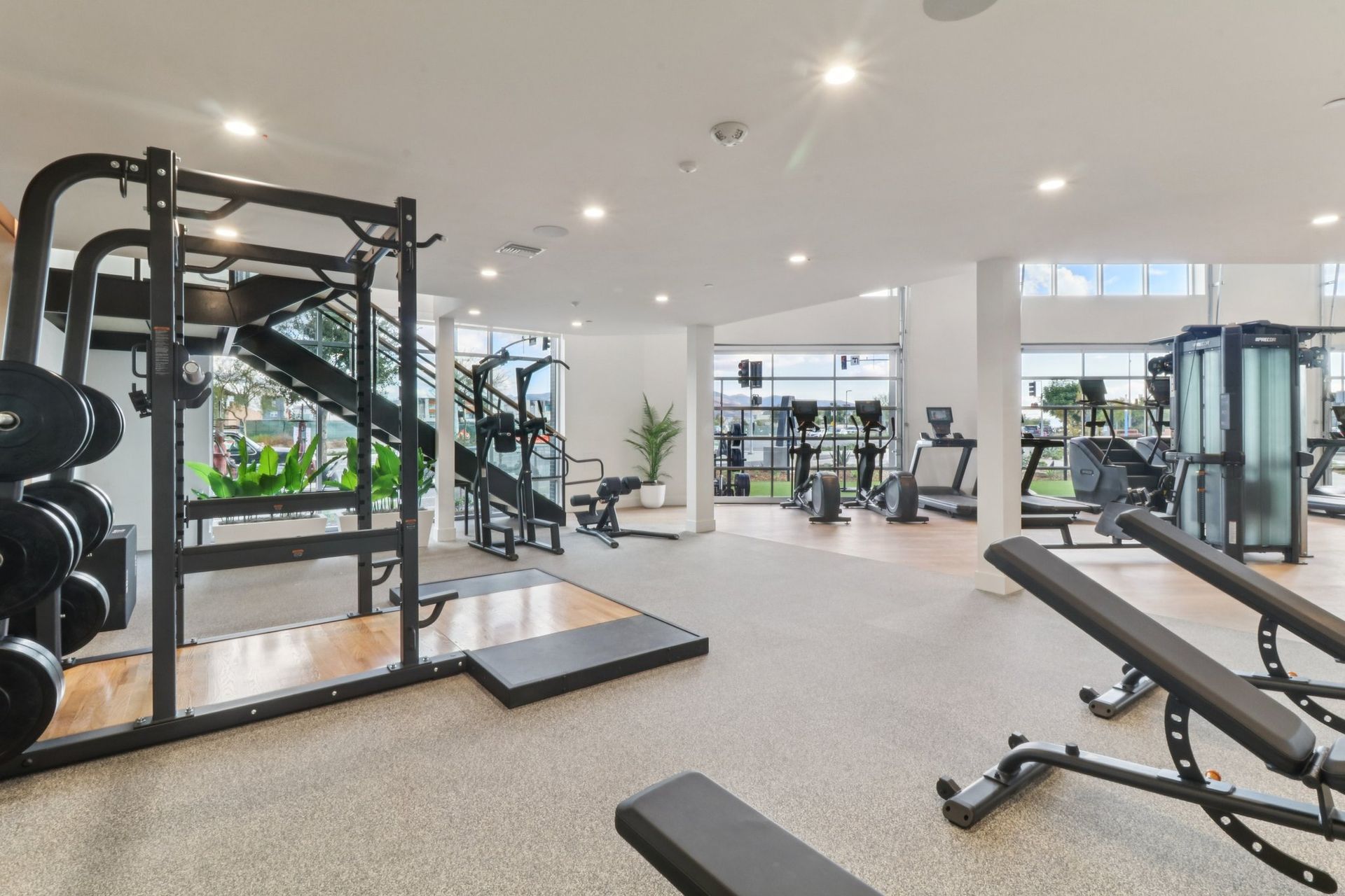 Gym interior with exercise equipment: weight rack, benches, treadmills, windows.