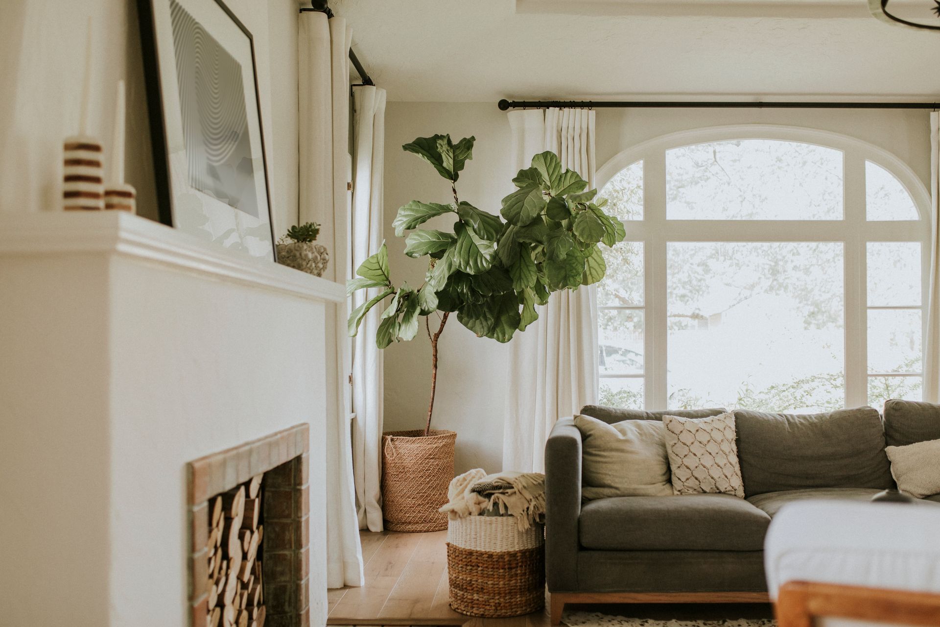 Living room with a large arched window, a gray couch, a fiddle-leaf fig tree, and fireplace.