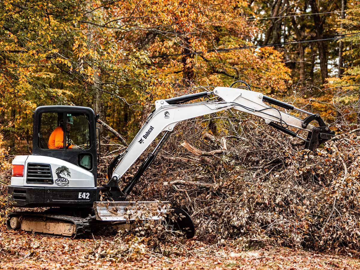 Bobcat excavator working with branches in a wooded area, autumn leaves.