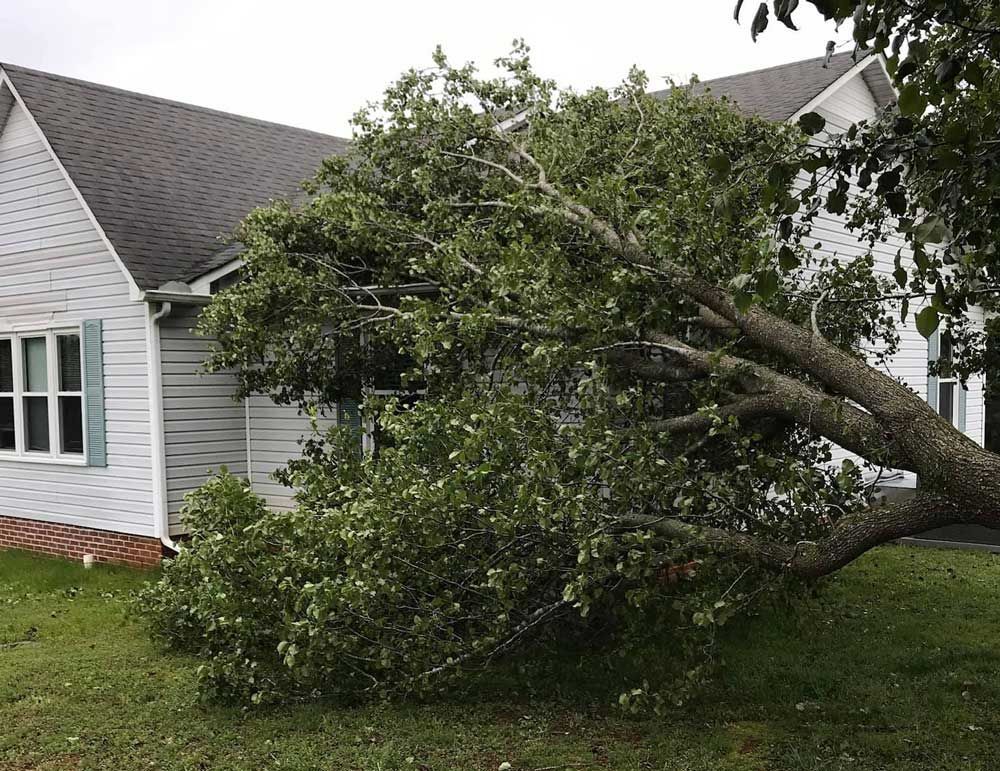 Fallen tree on a house; limbs on roof and yard; white siding.