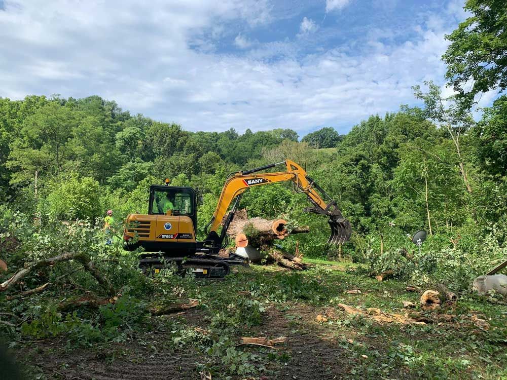 Excavator clearing fallen trees in a grassy area, surrounded by a forest under a cloudy sky.
