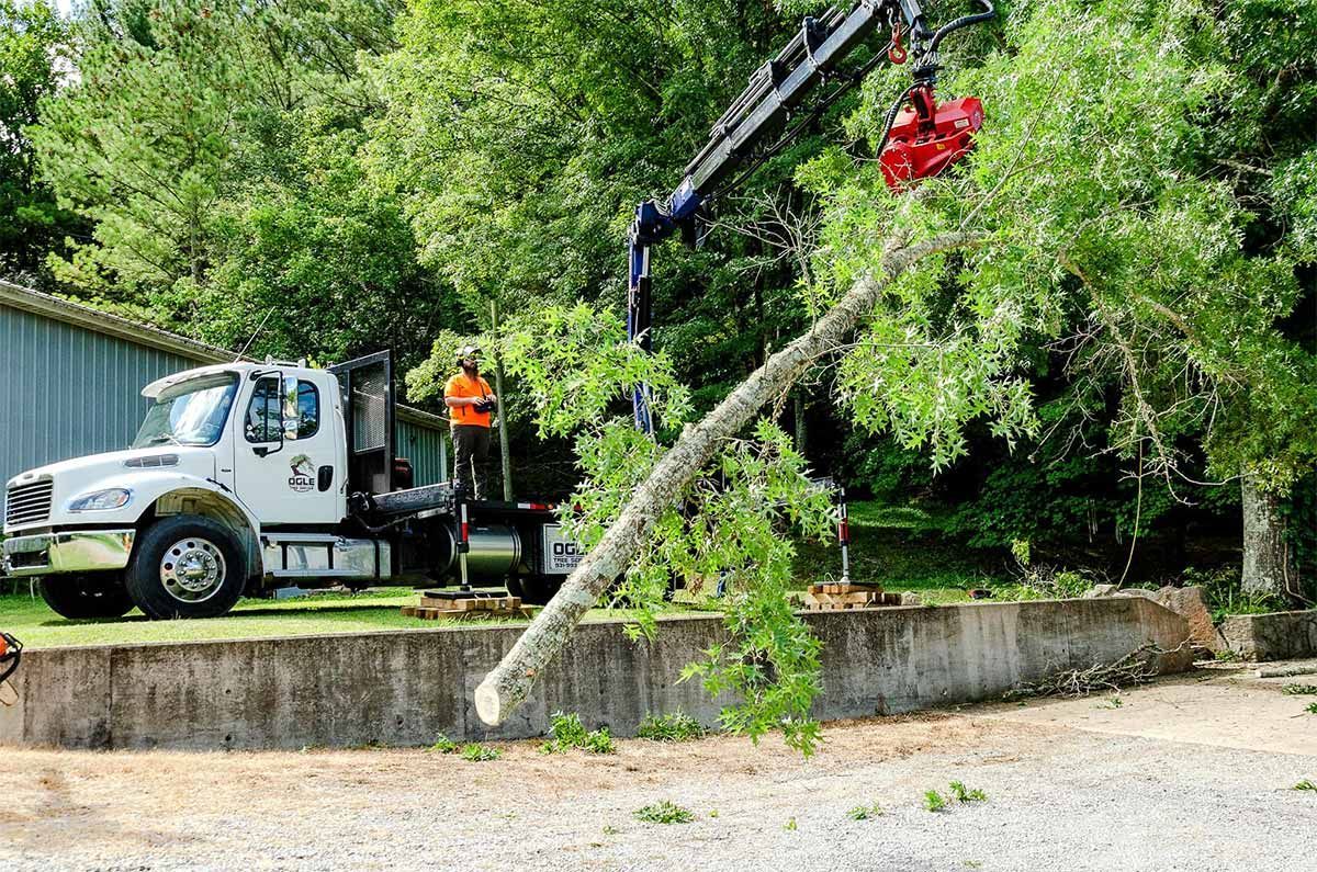 Tree removal: Crane lifts a large tree branch; worker in orange vest; white truck.