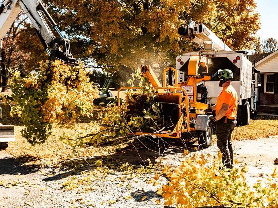 Tree service worker feeding branches into a wood chipper.