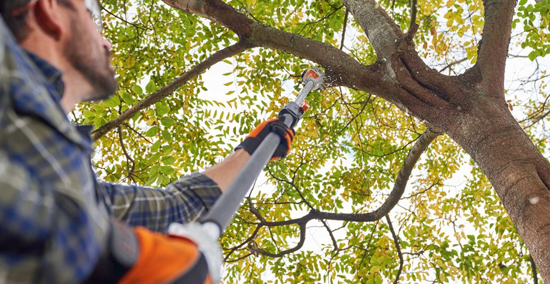 Man using pole saw to trim a tree branch, outdoors.
