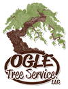 Ogle Tree Service LLC | Trusted Tree Care in Huntsville, AL