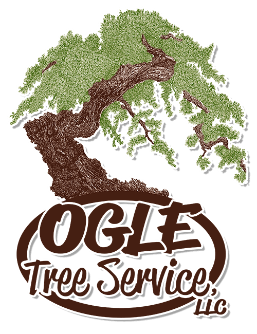 Ogle Tree Service LLC | Trusted Tree Care in Huntsville, AL