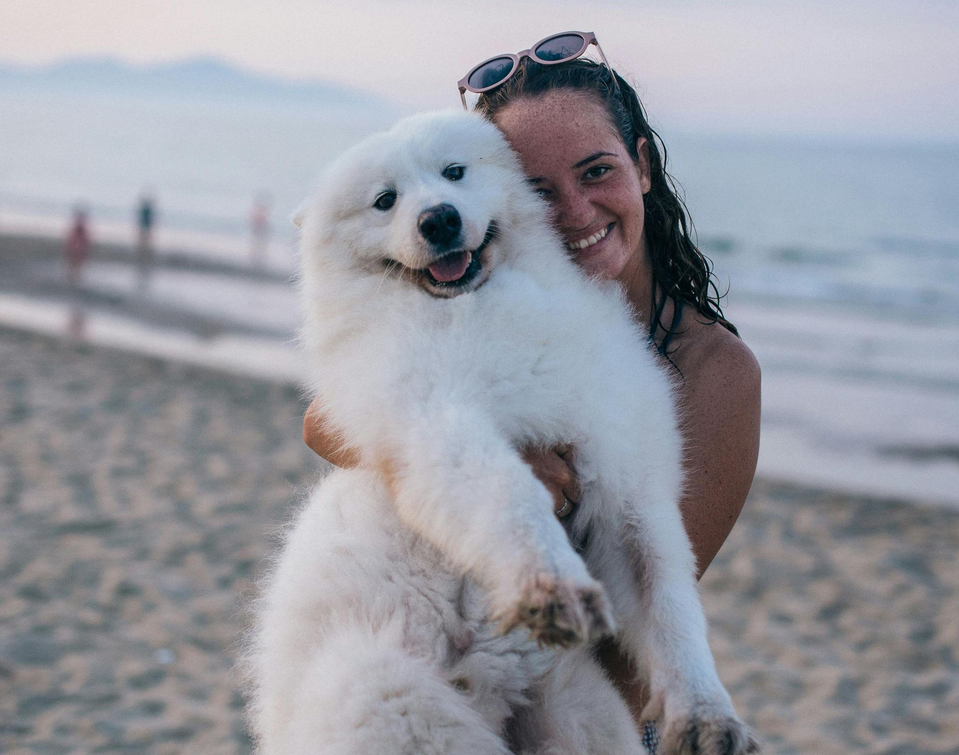 Why Pet Waste Disposal Is Essential for Pet Owners | K9 Cleanup