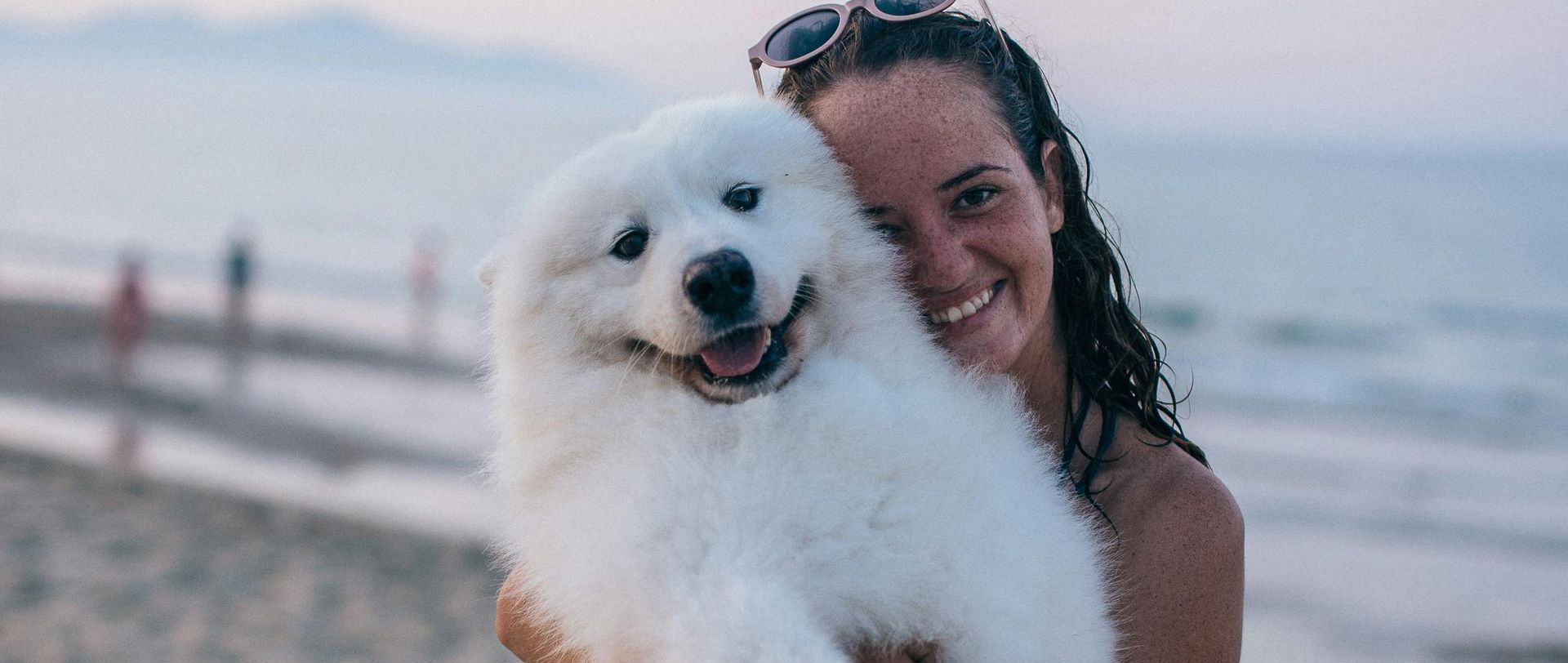 Woman holding a fluffy white Samoyed dog on a beach; both smiling. Sunset backdrop.