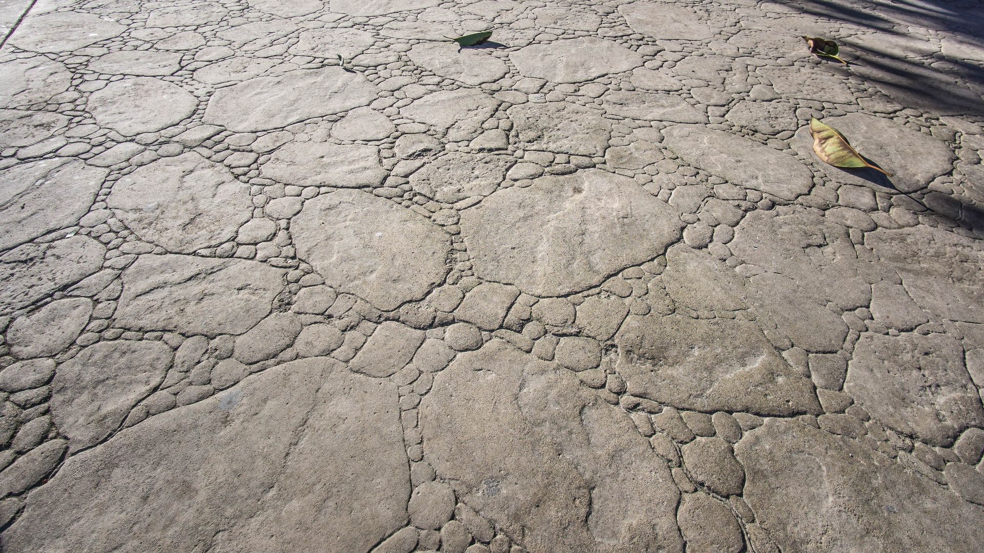 A close up of a cracked concrete surface