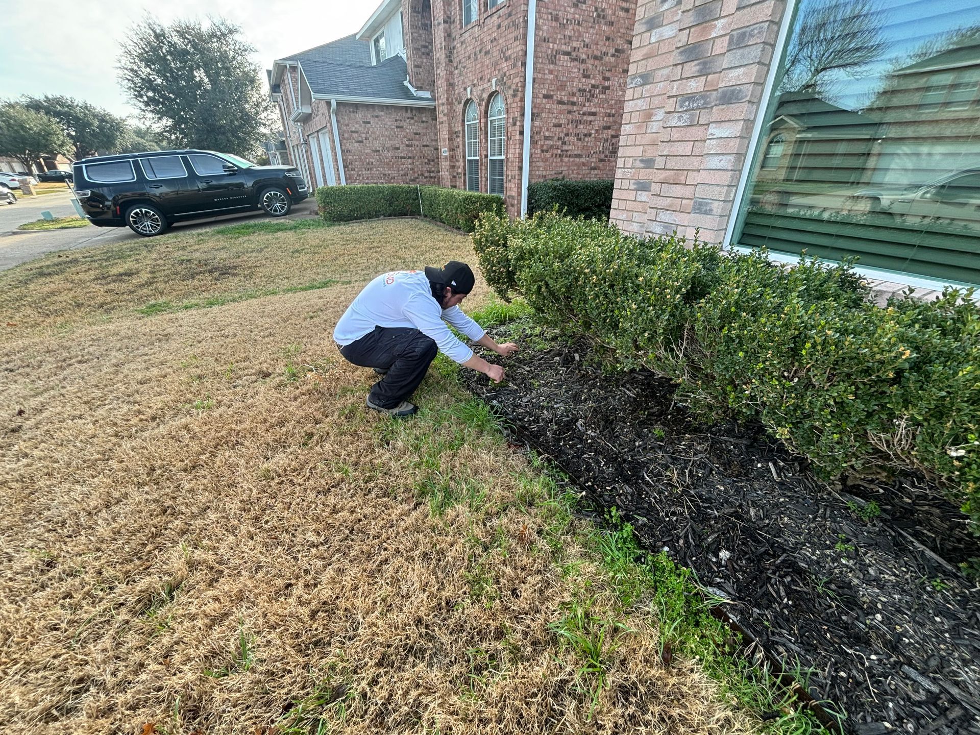 A person in a light-colored top kneeling in front of a house, weeding a garden bed with dark mulch next to a lawn.
