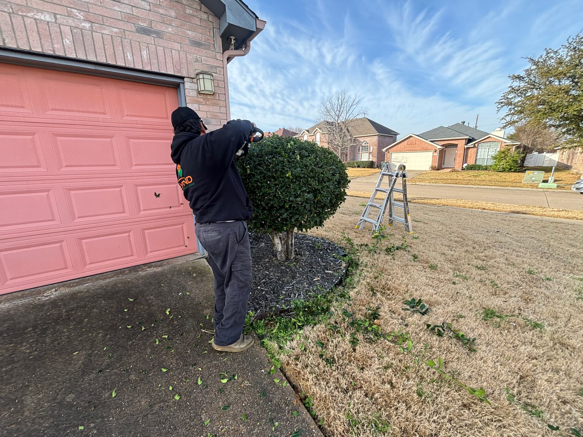 A person in a black jacket and dark pants uses electric hedge trimmers to shape a round bush in a residential front yard.