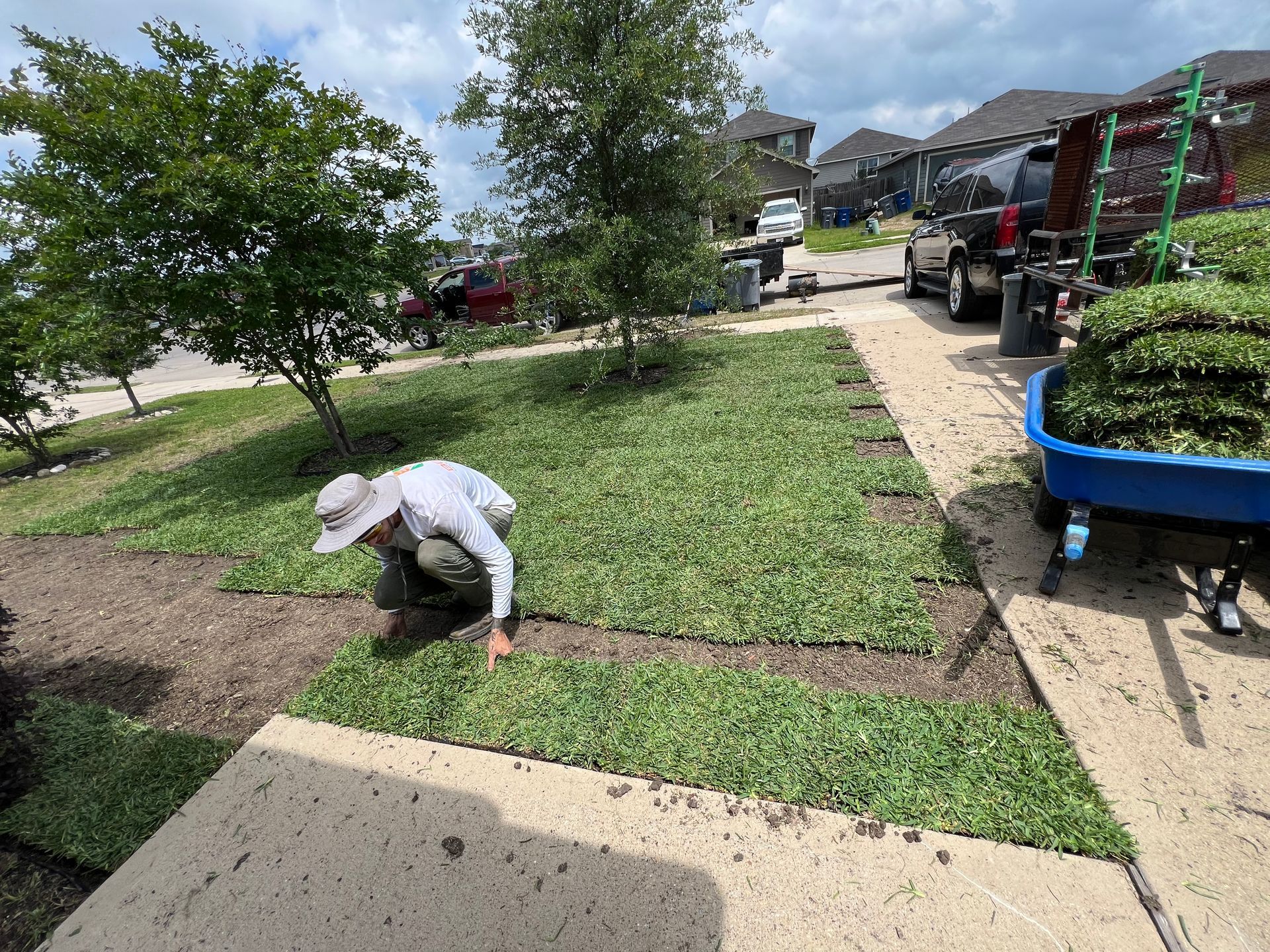 A man is working on a lawn next to a blue wheelbarrow.