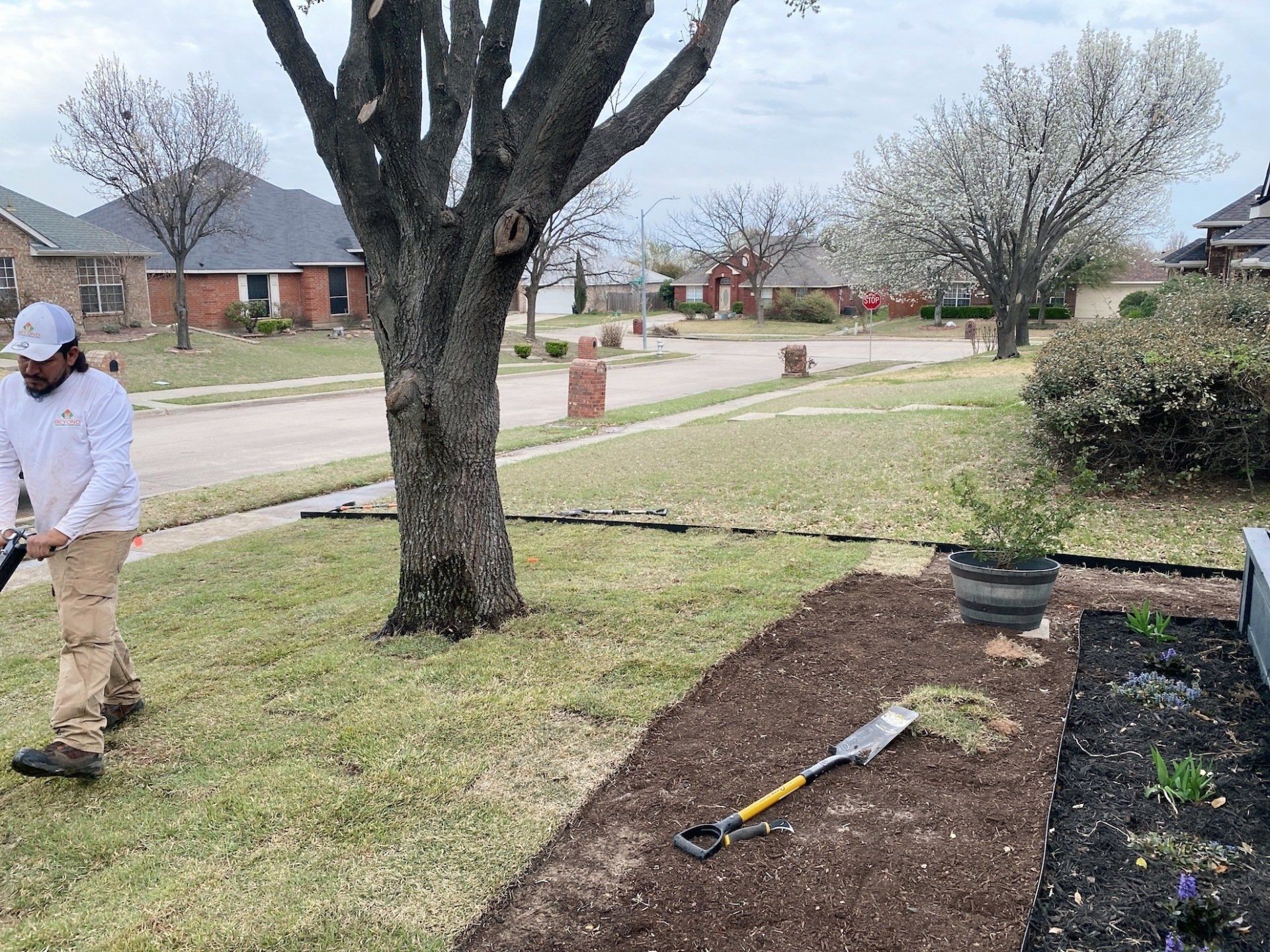 Sod Installation