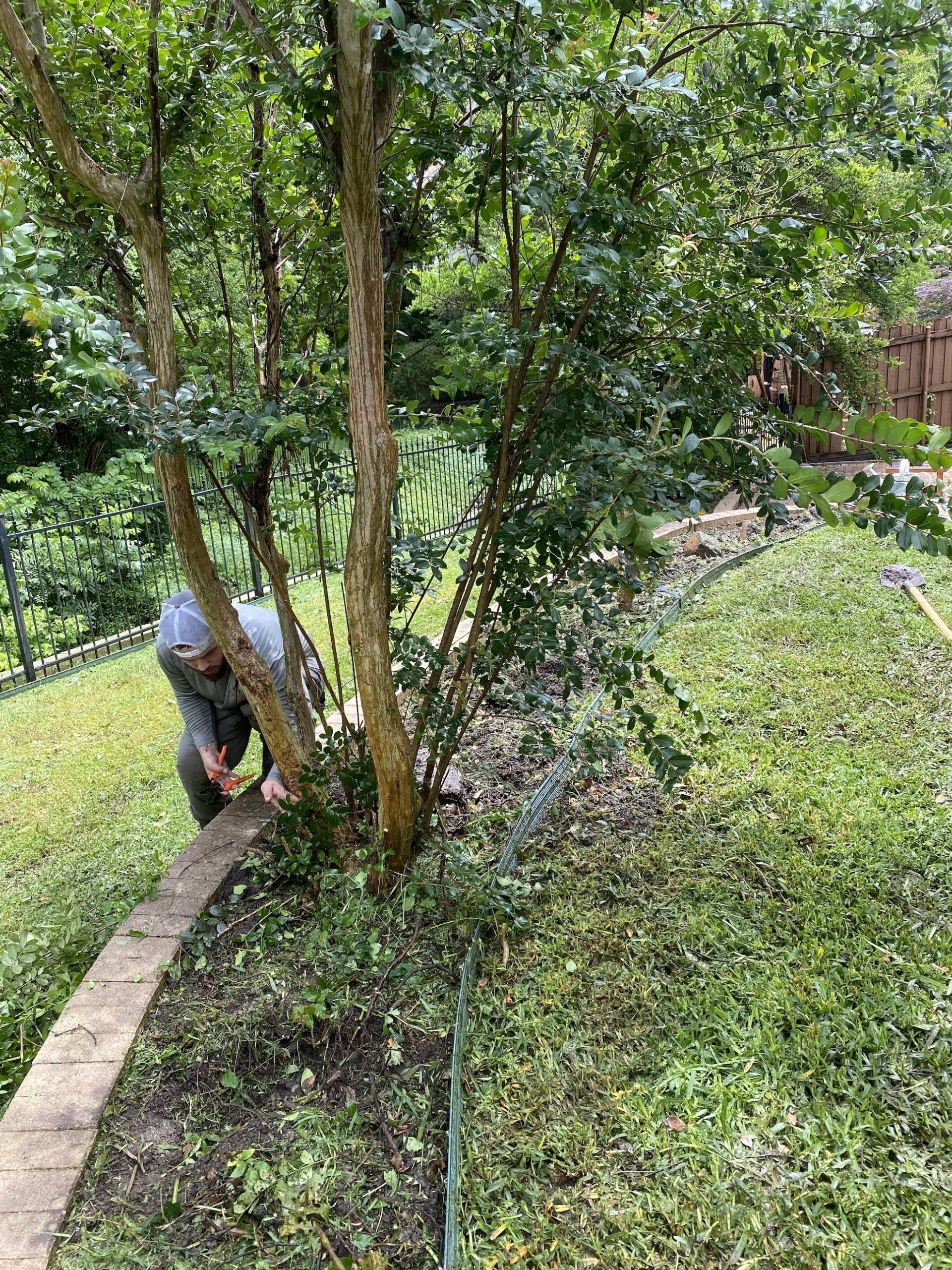 Landscape Maintenance