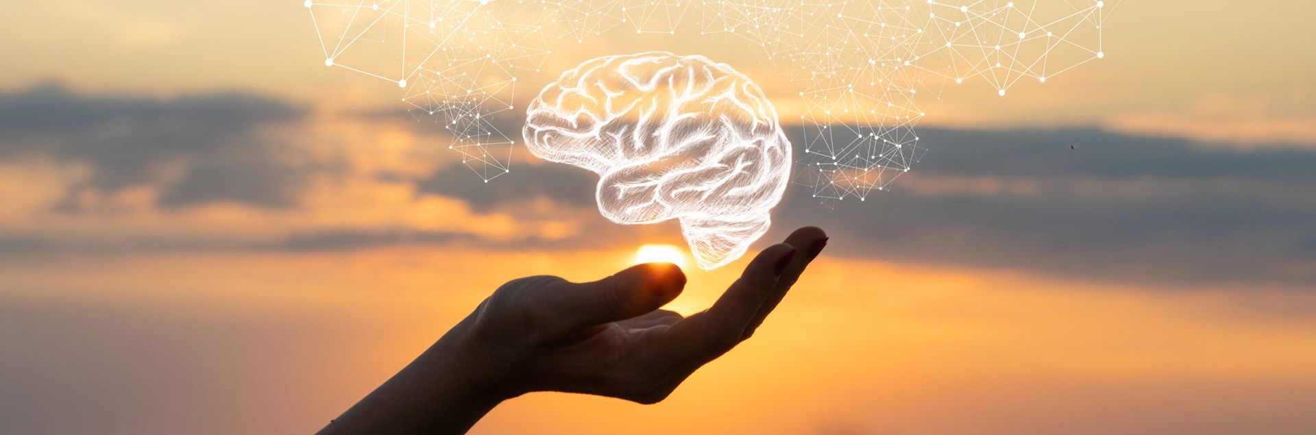 a person is holding a brain in their hand at sunset .