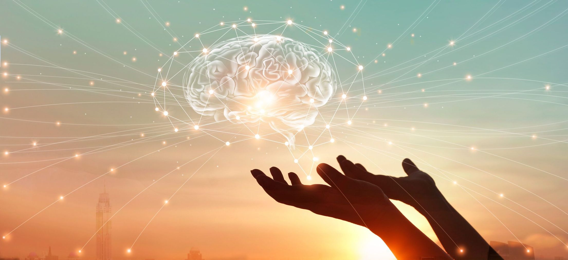 a person is holding a brain in their hands at sunset .