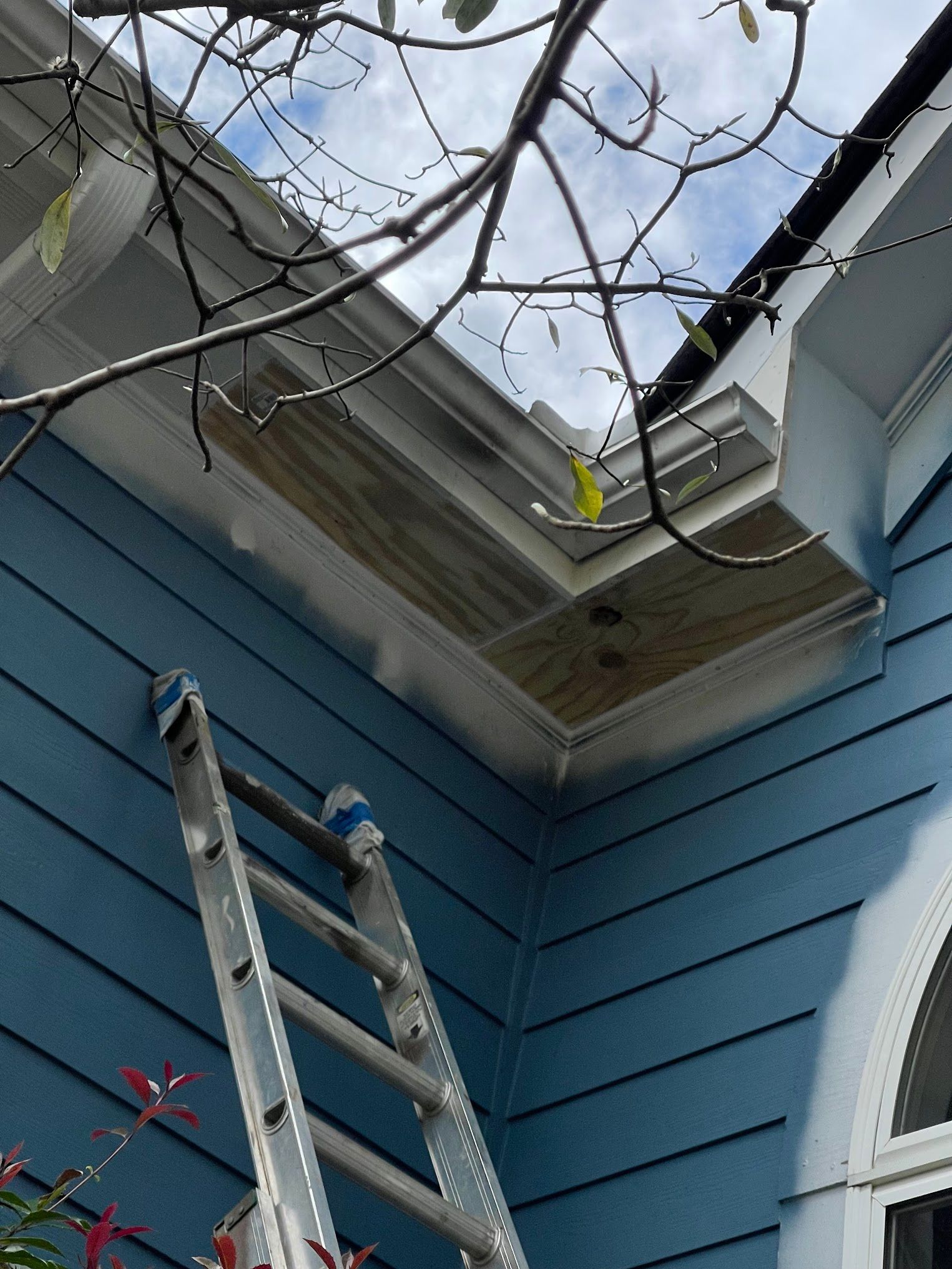 A ladder is sitting on the side of a blue house.