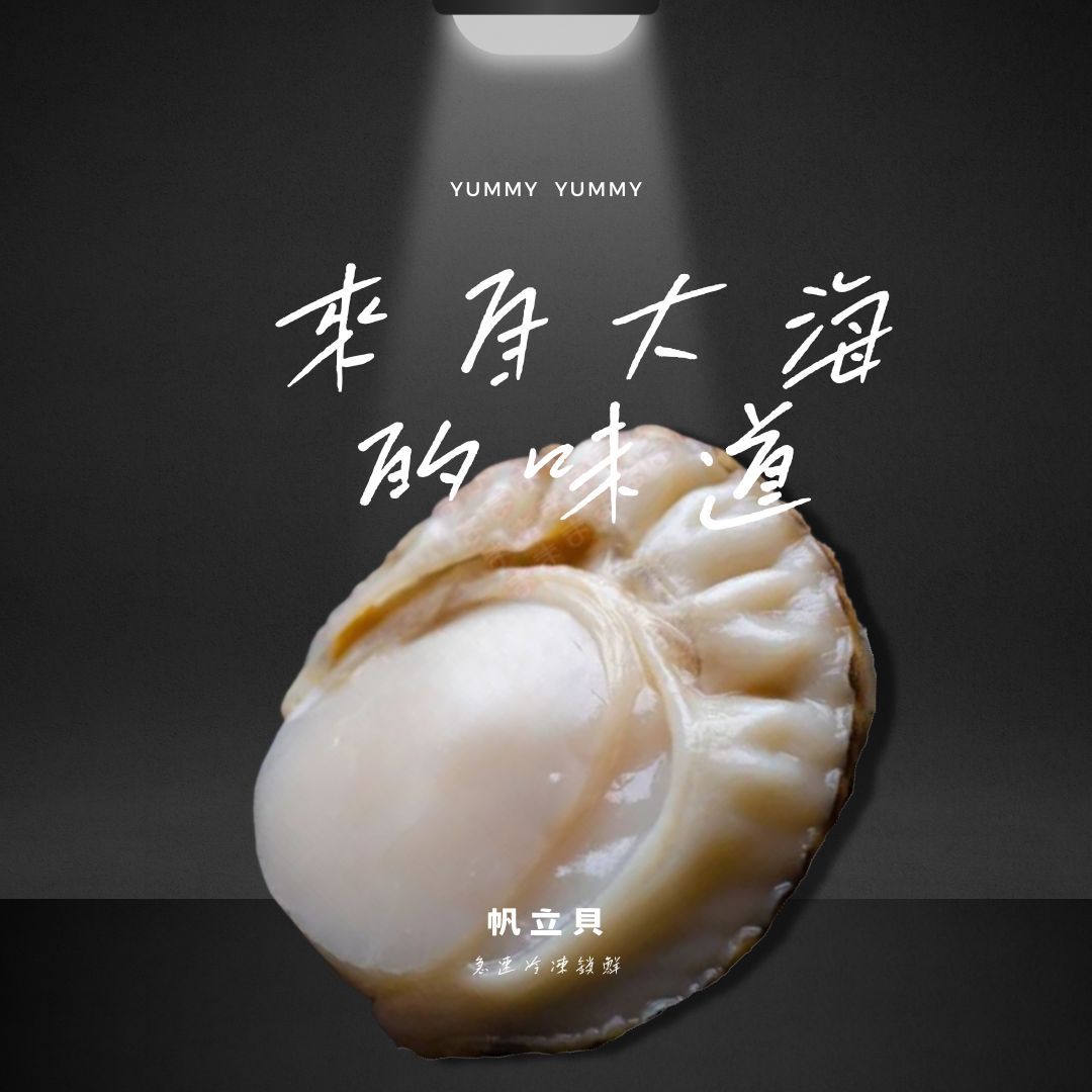 ?帆立貝｜鮮甜Q彈好滋味｜500g高CP值海鮮首選✨