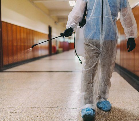Disinfecting school hallway — Odessa, FL — Gator Cleaning Solutions