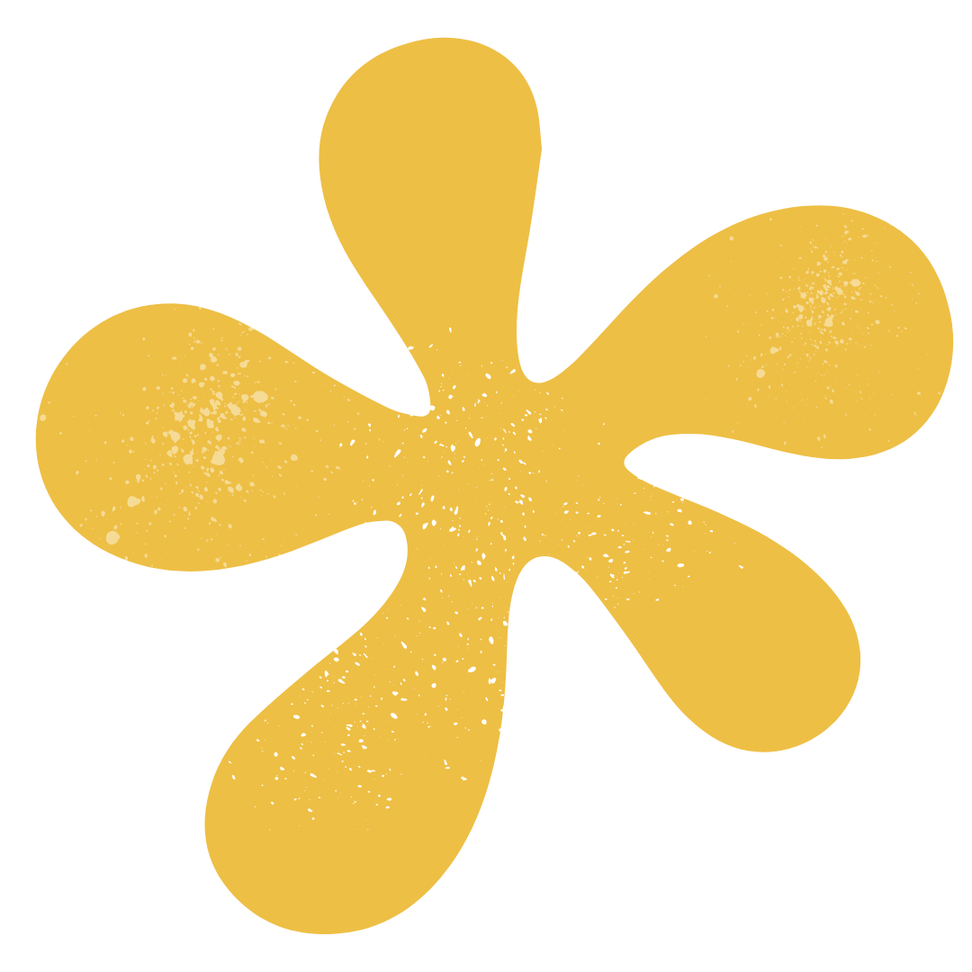 A yellow flower with five petals on a white background