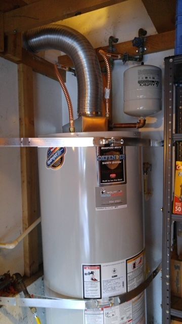 Professional Boiler — Snohomish, WA — Wolff Water Heaters