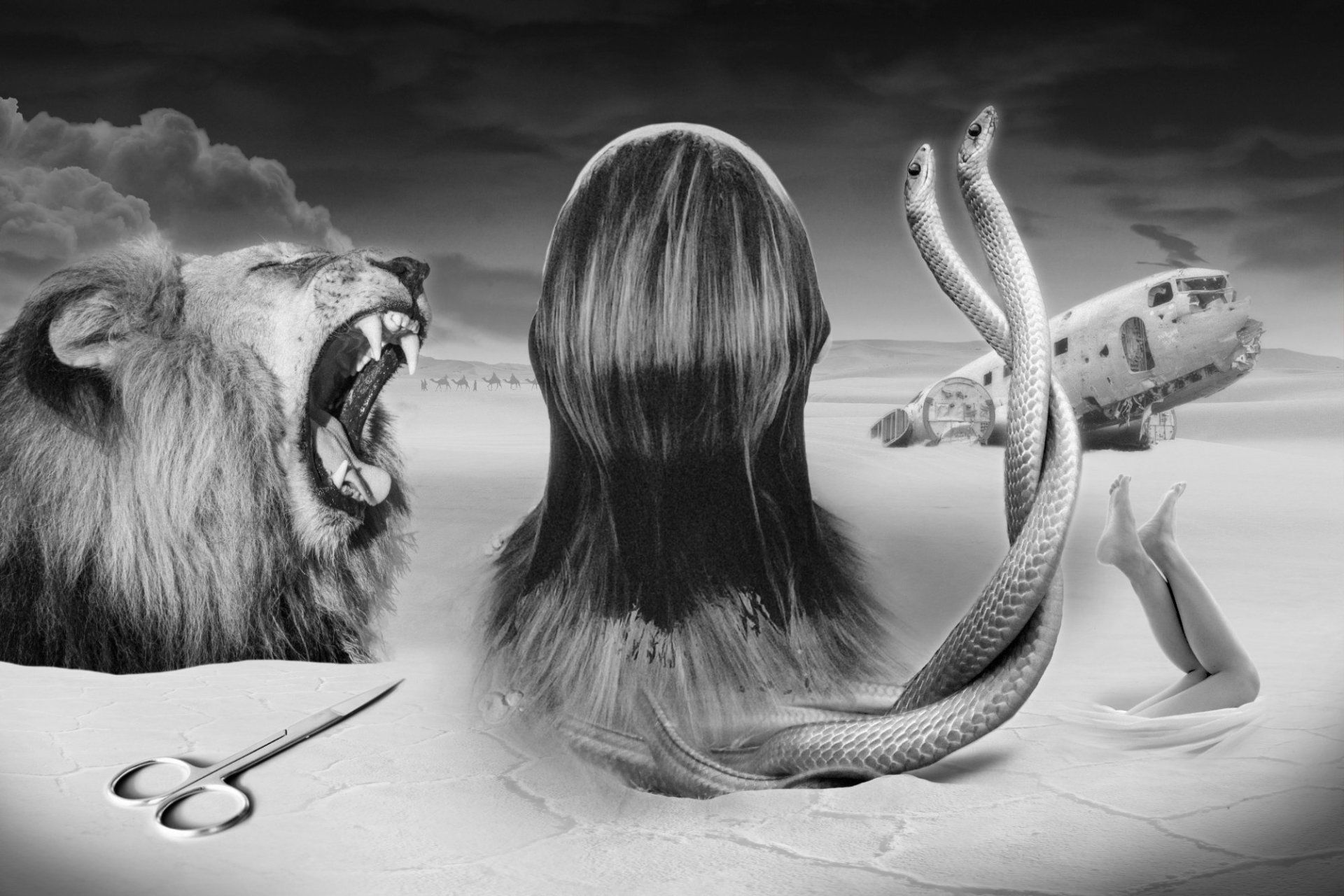 Image by Adam Strange ©