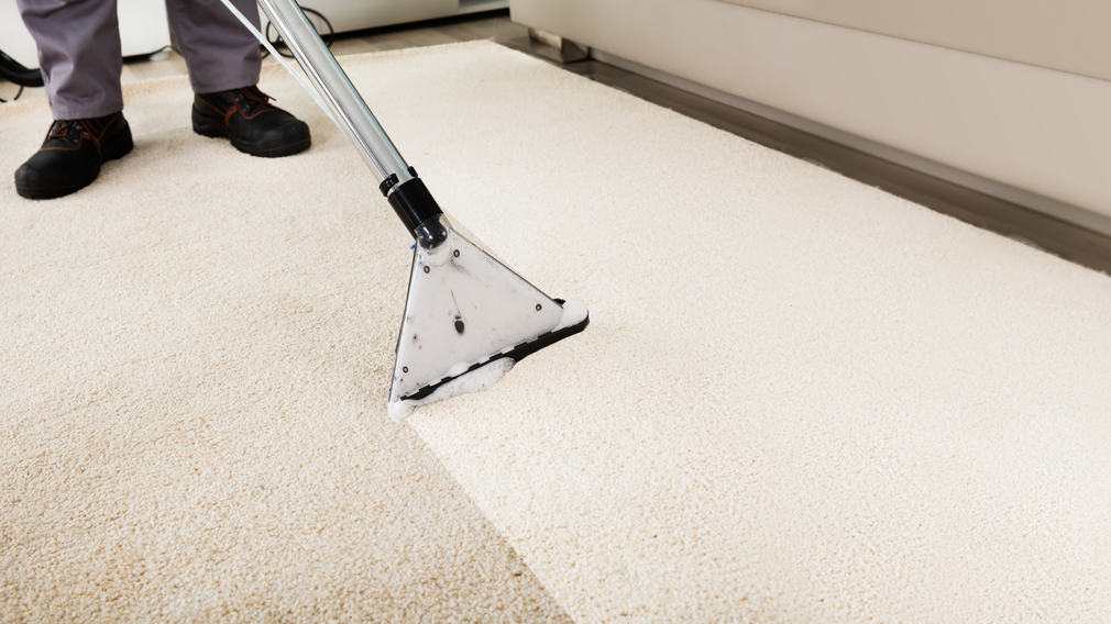 carpet cleaning