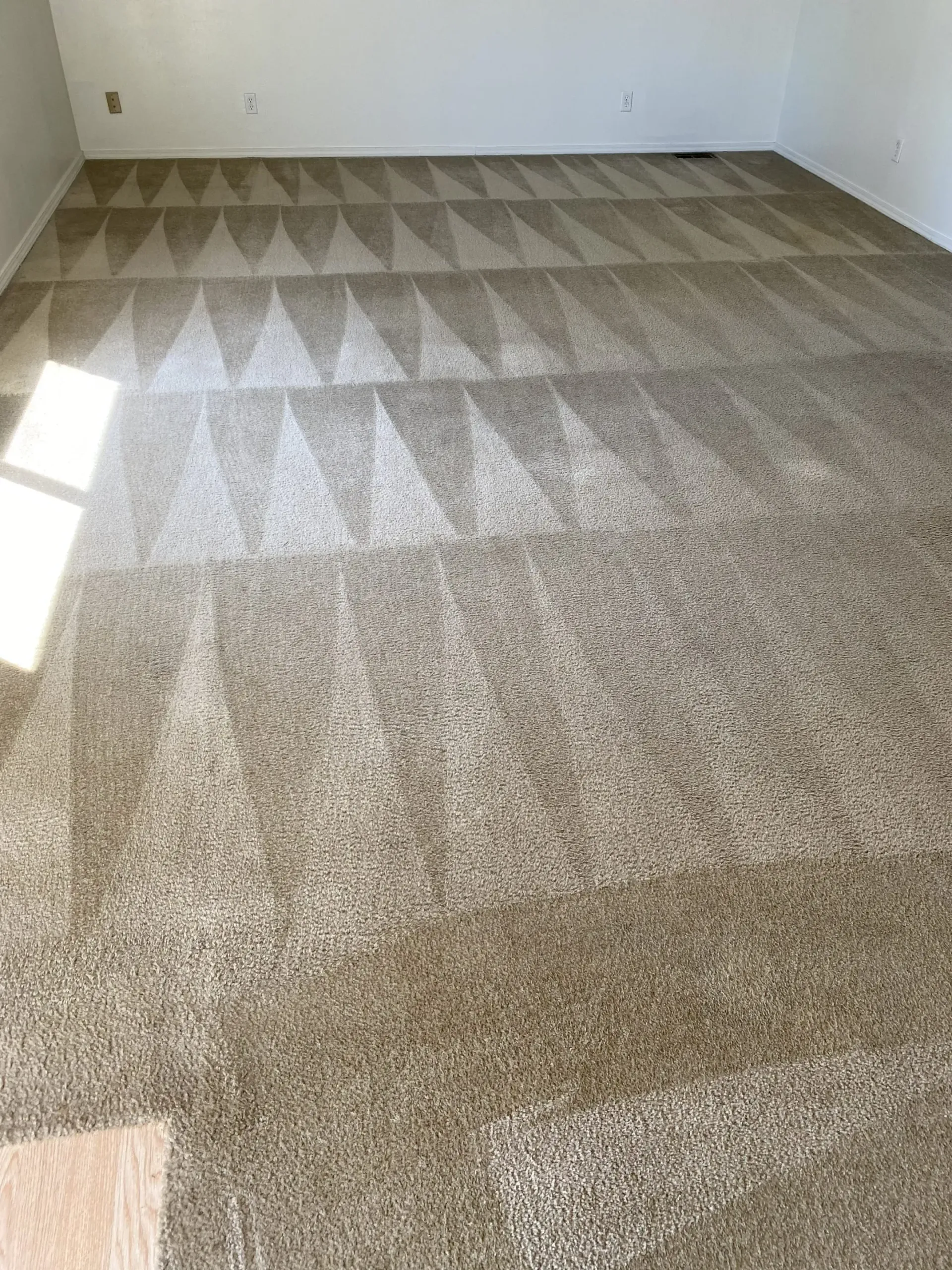 carpet cleaning experts