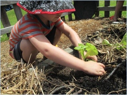 A kid planting a plant.