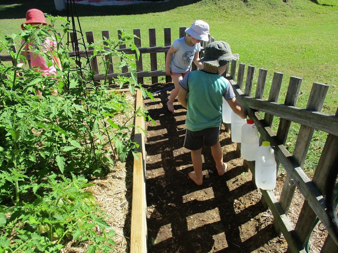 Children watering a garden with recycled bottles. Wooden fence surrounds the garden.