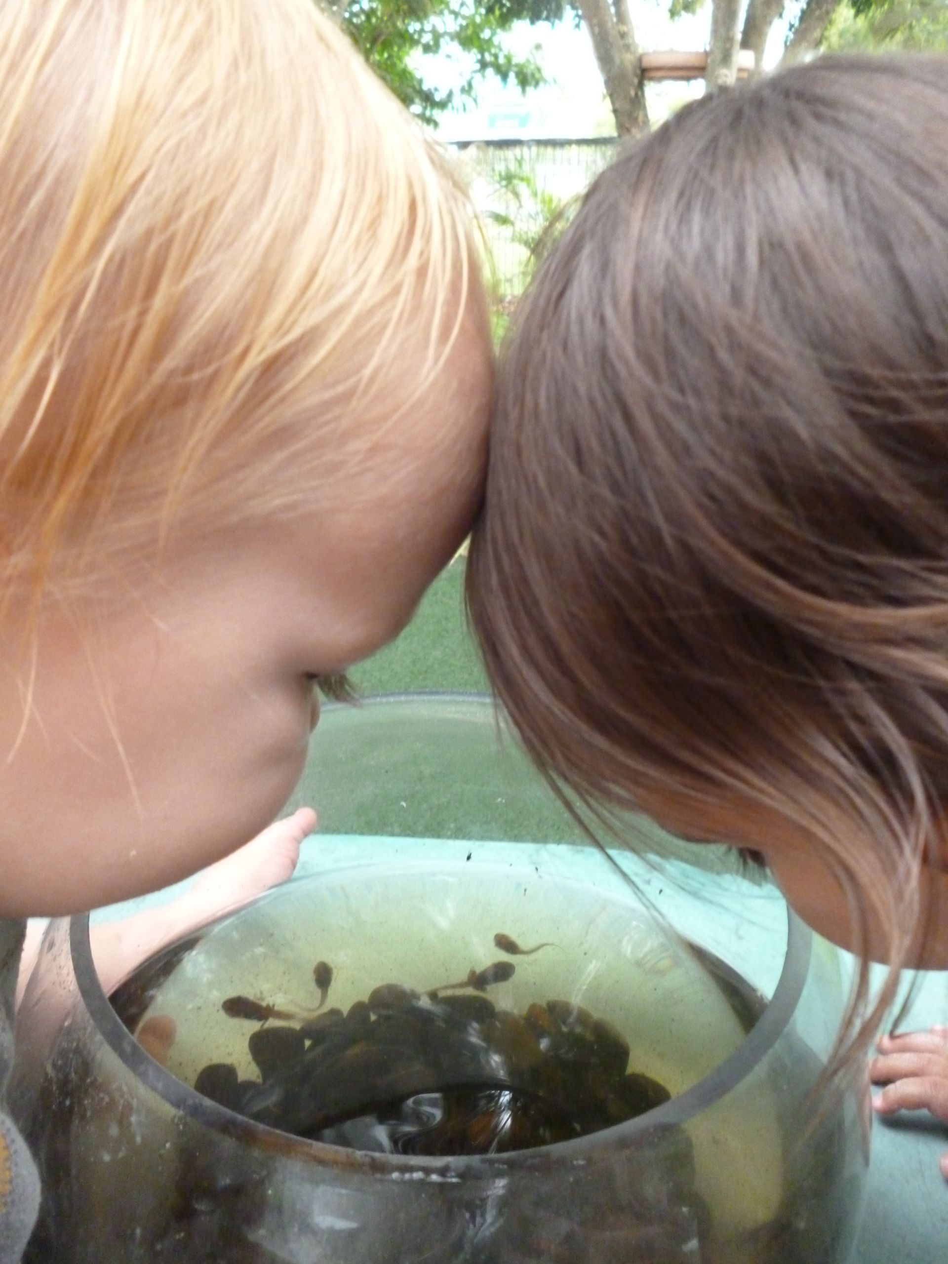 Children building a structure outside with large, colorful interlocking blocks.