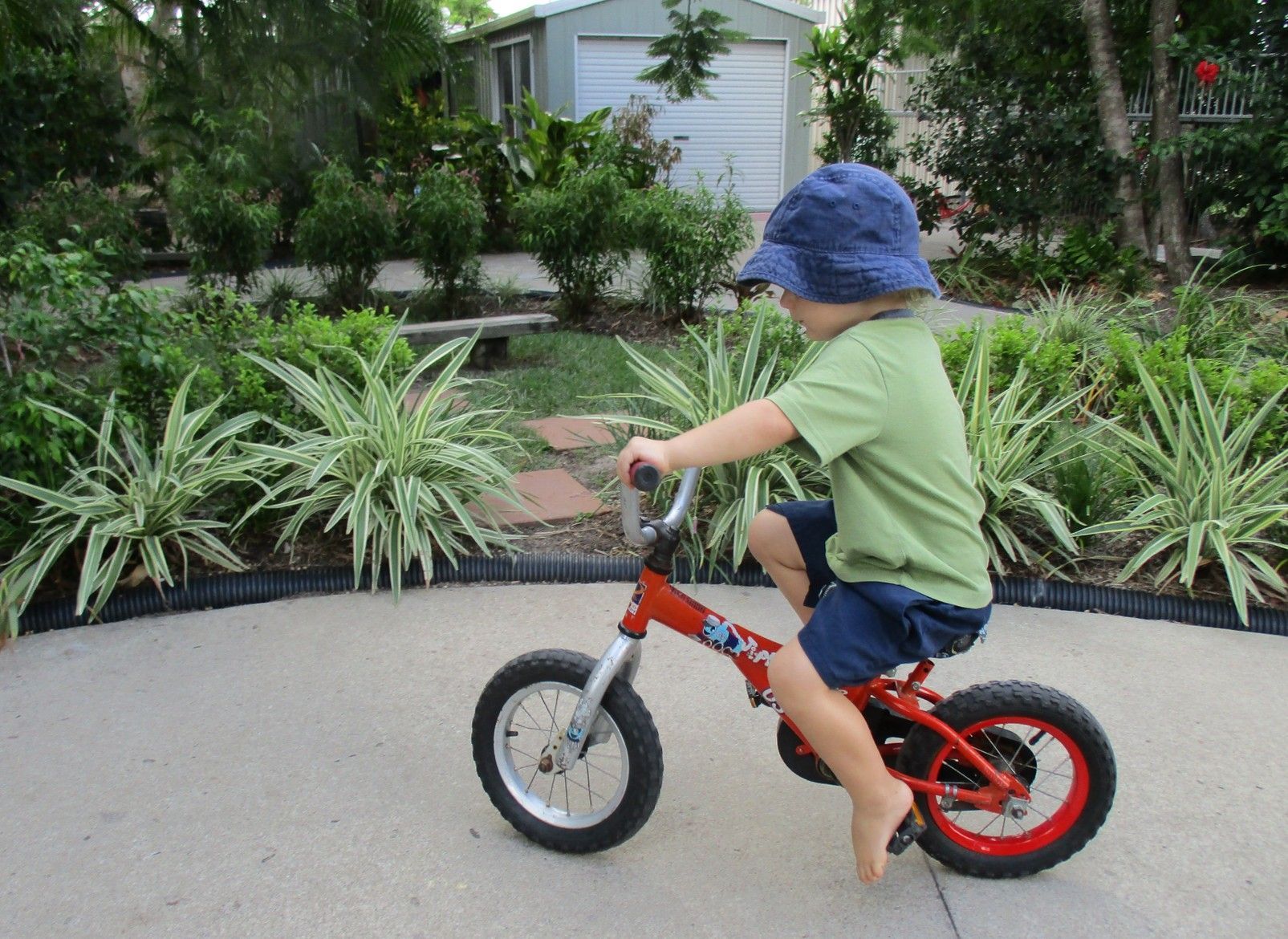 Young child riding a red balance bike on a concrete path, wearing a blue hat and green shirt, outside.