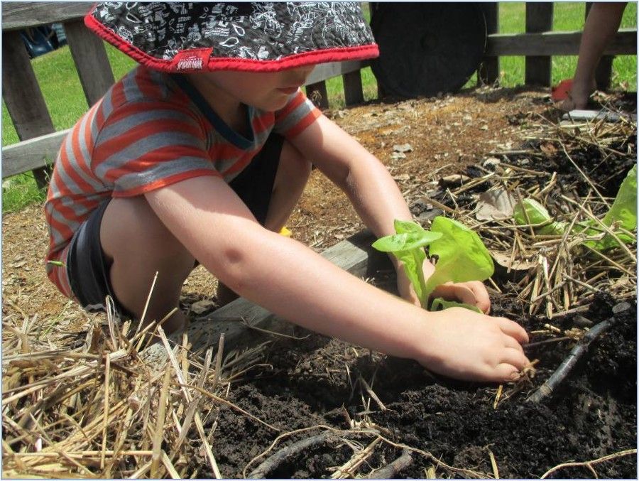 Young child planting a seedling in a garden bed, wearing a hat and striped shirt.