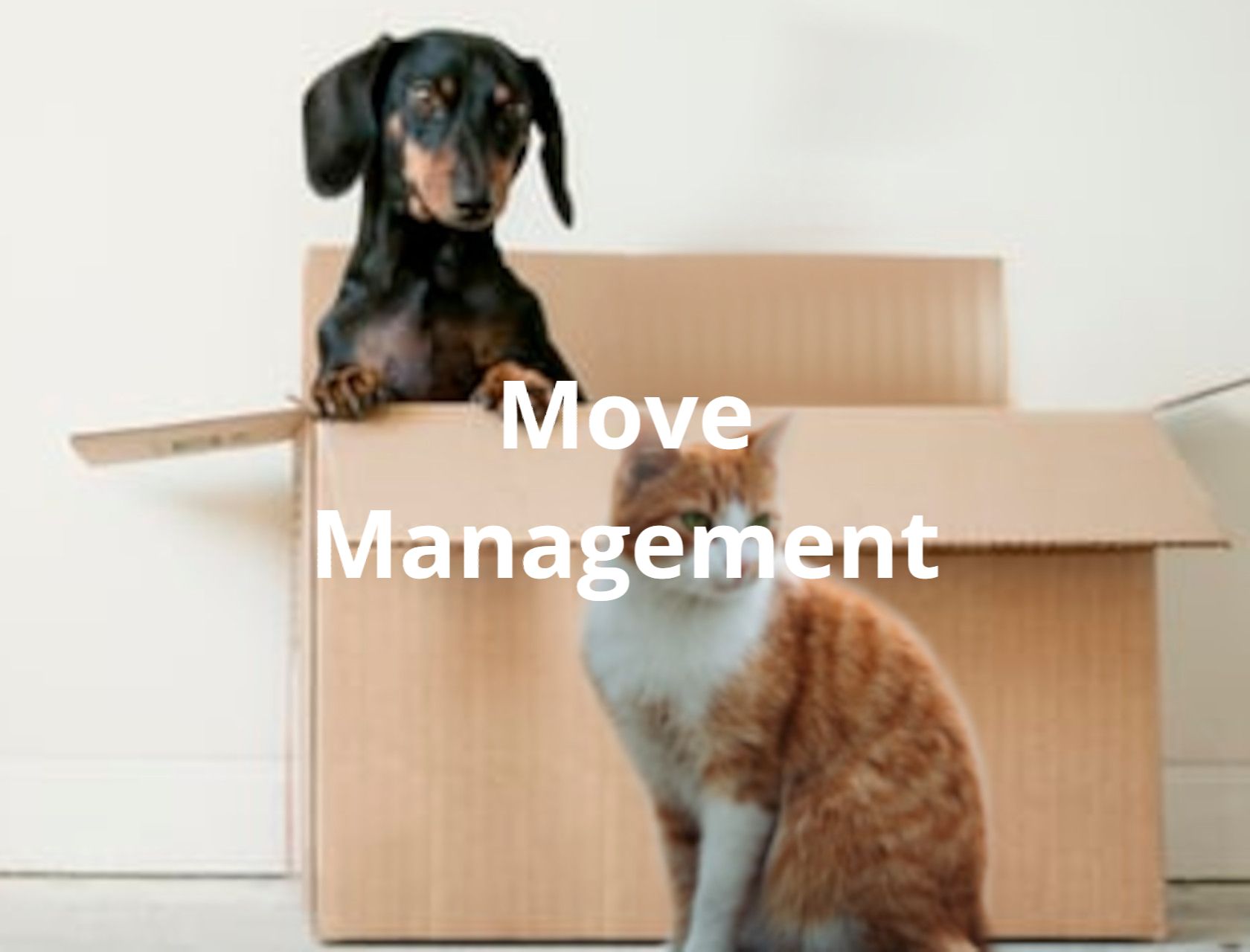 Learn more about Move Management with RZC