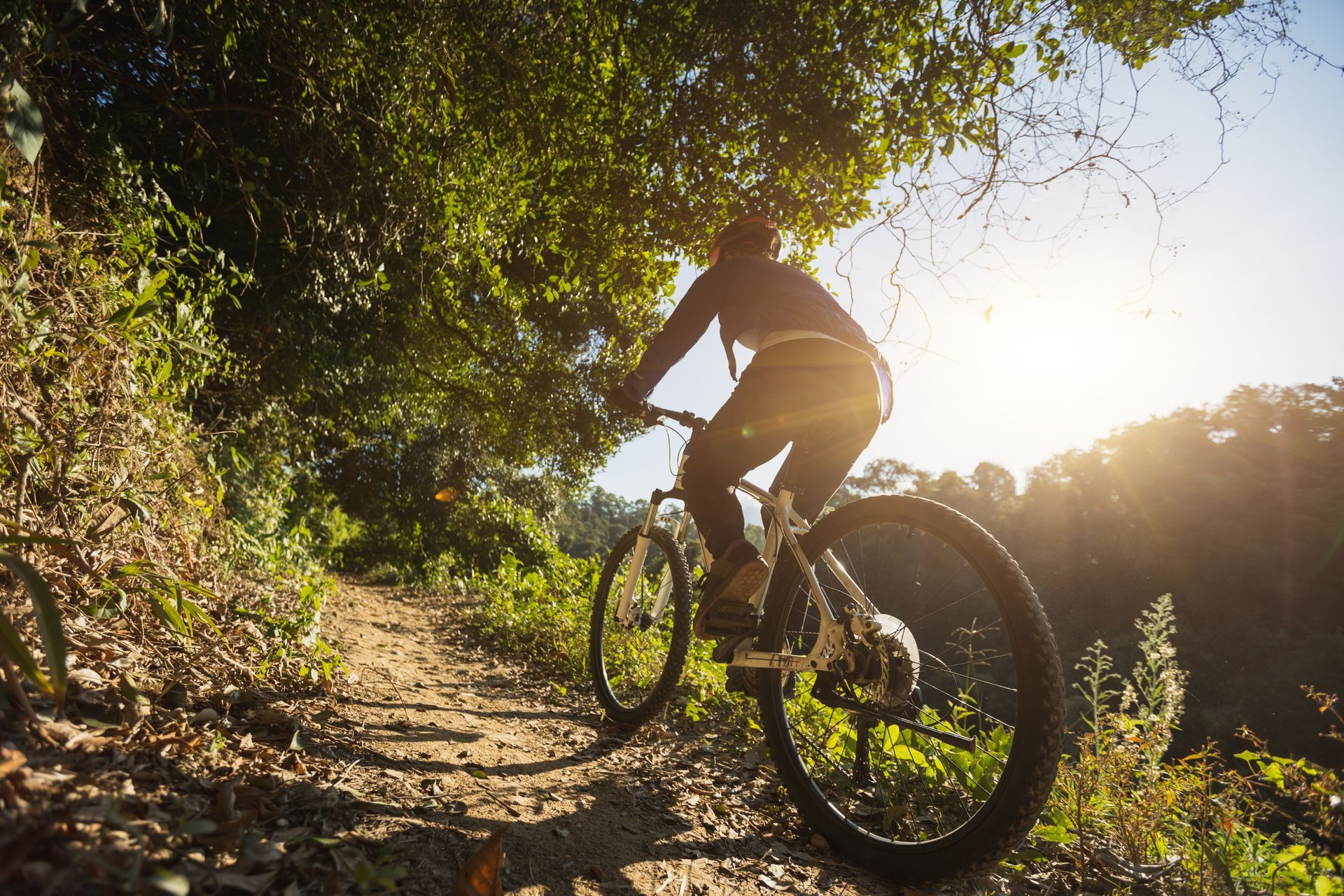 Mountain biker riding uphill on a sunlit forest trail at sunset
