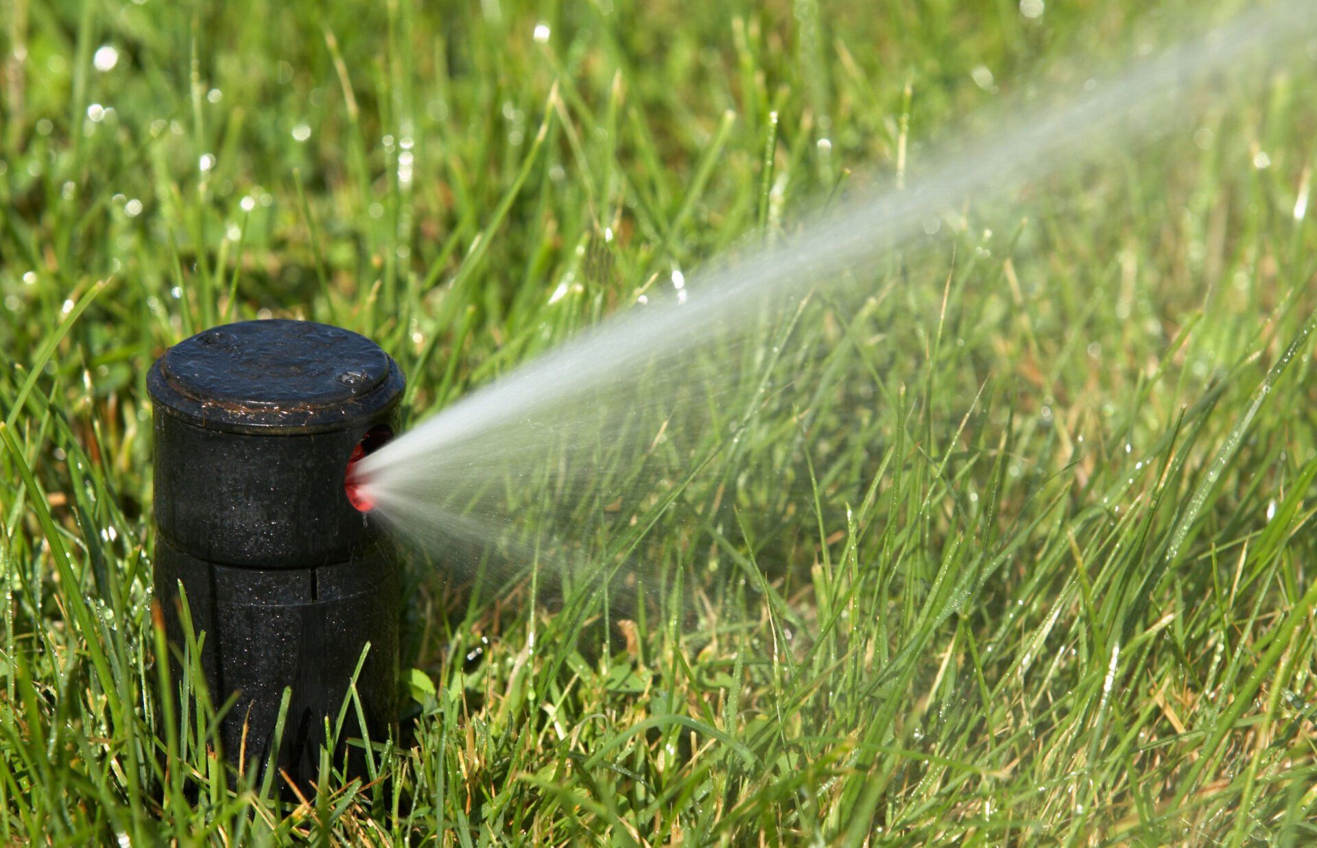 Sprinkler Upgrades Pasco County Florida 7278090596