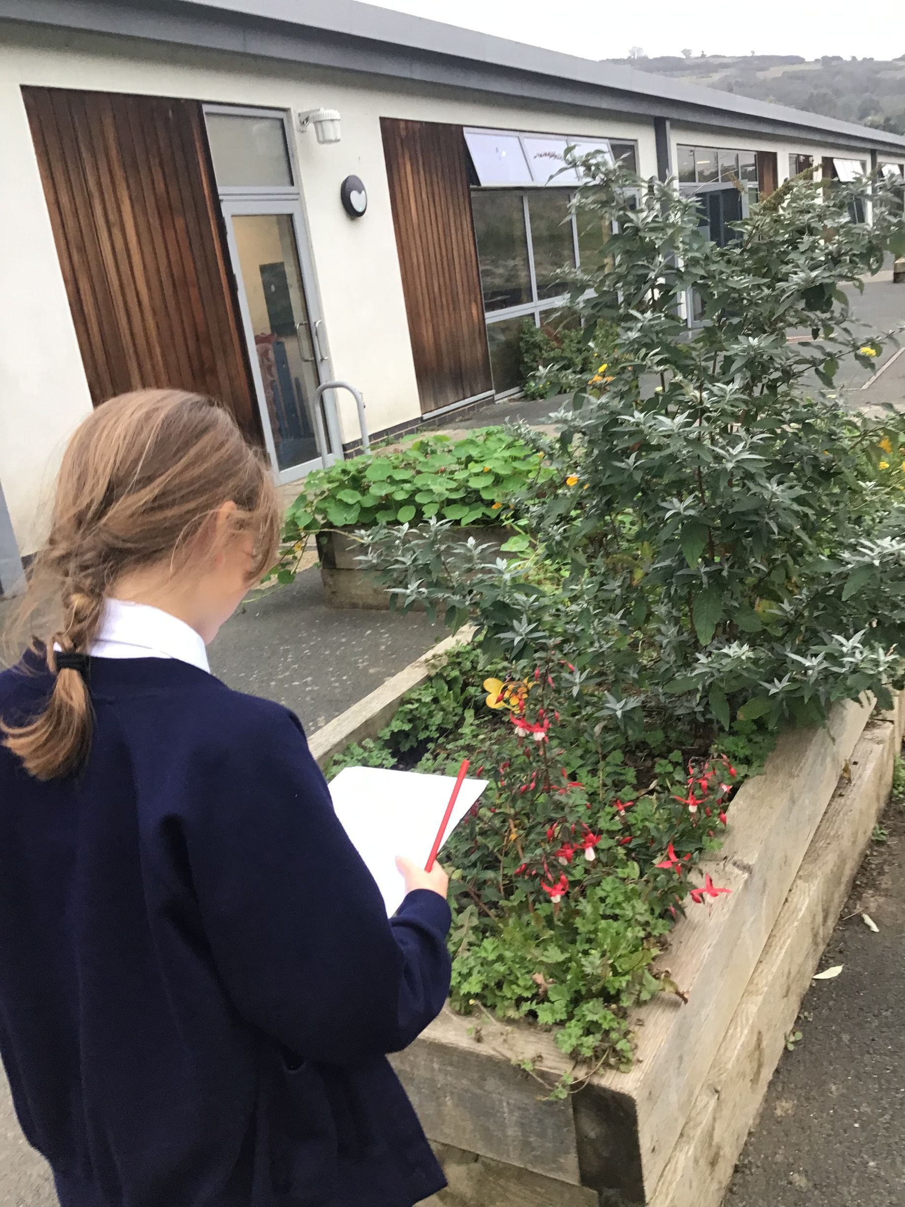 A young girl is standing in front of a building reading a book.