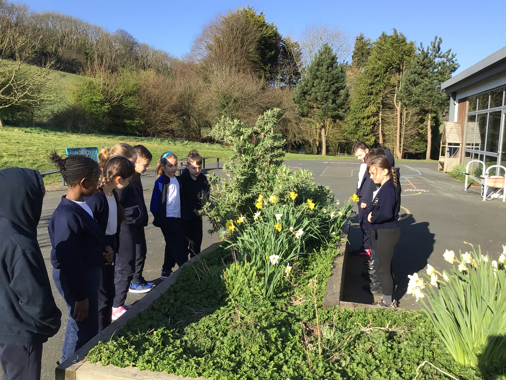 A group of children are standing around a flower bed.